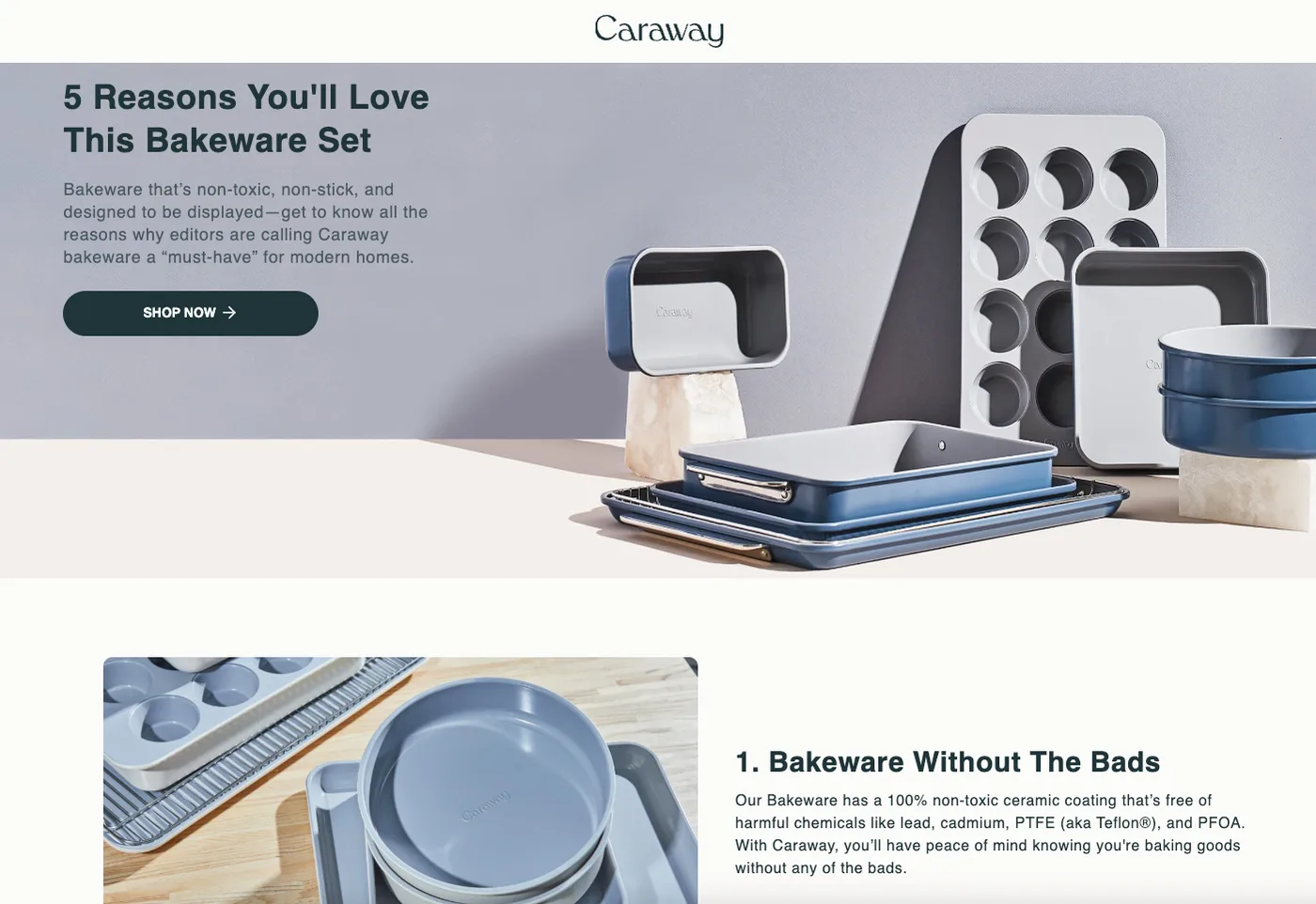 Top of Caraway's landing page