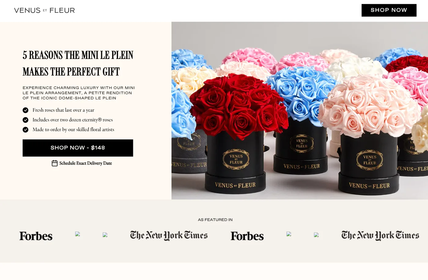 Top of Venus ET Fleur's landing page